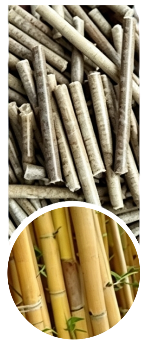 bamboo