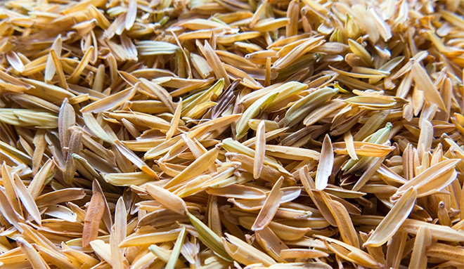 Rice Husk