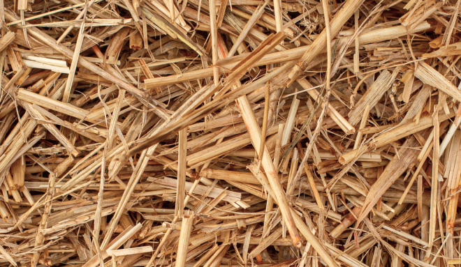 Wheat Straw