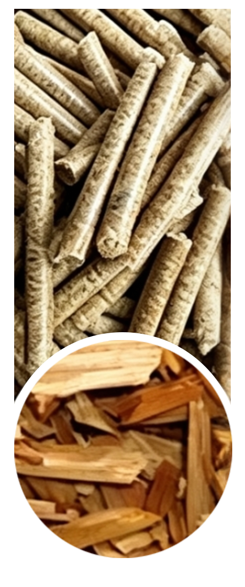 Wood sticks