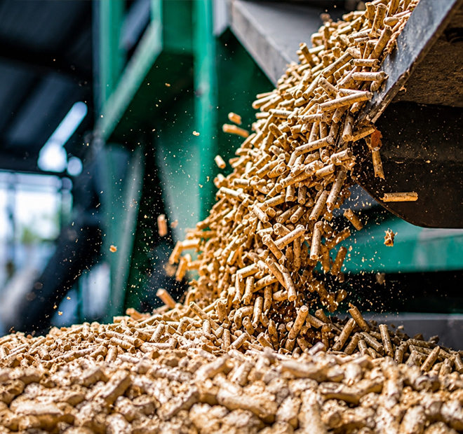 Wood Pellet Production Project Support