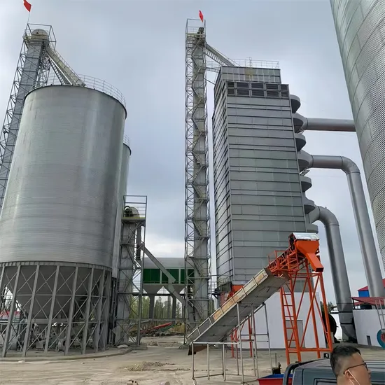 Grain bucket elevator