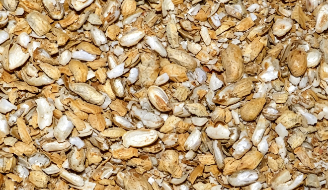 Peanut Shells