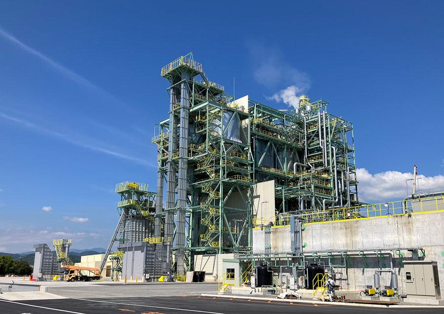 Biomass power generation plants