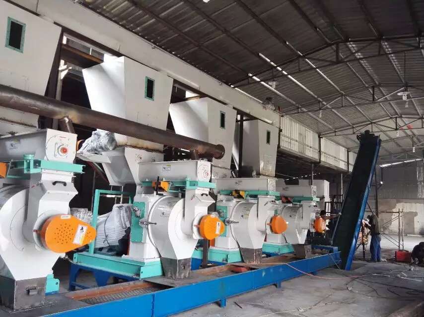 wood pellet production line