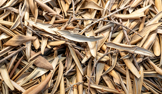 Other Crop Residues