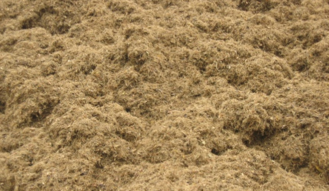 Palm Fiber and EFB