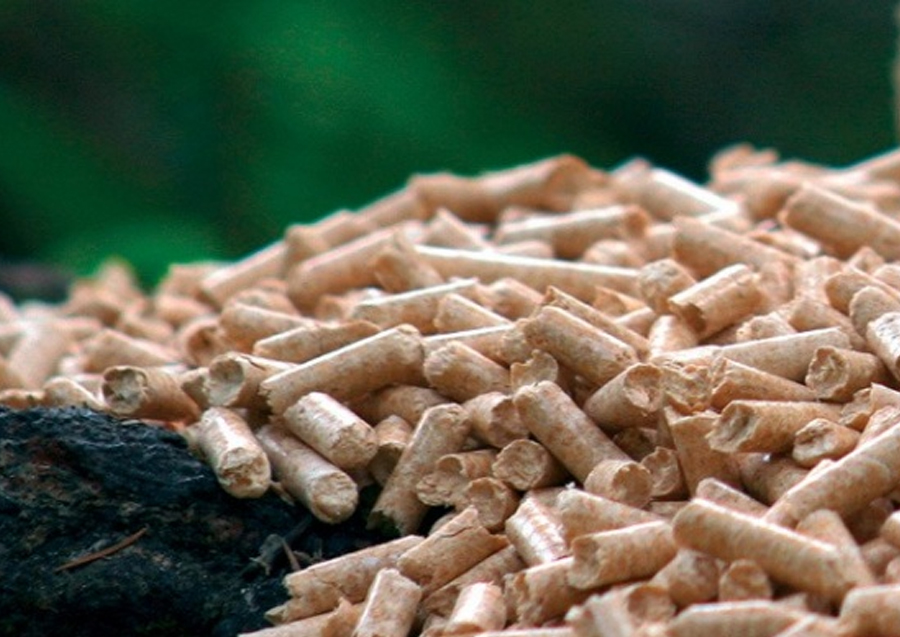 Biomass power generation plants.jpg
