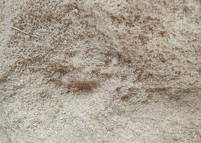 Sawdust