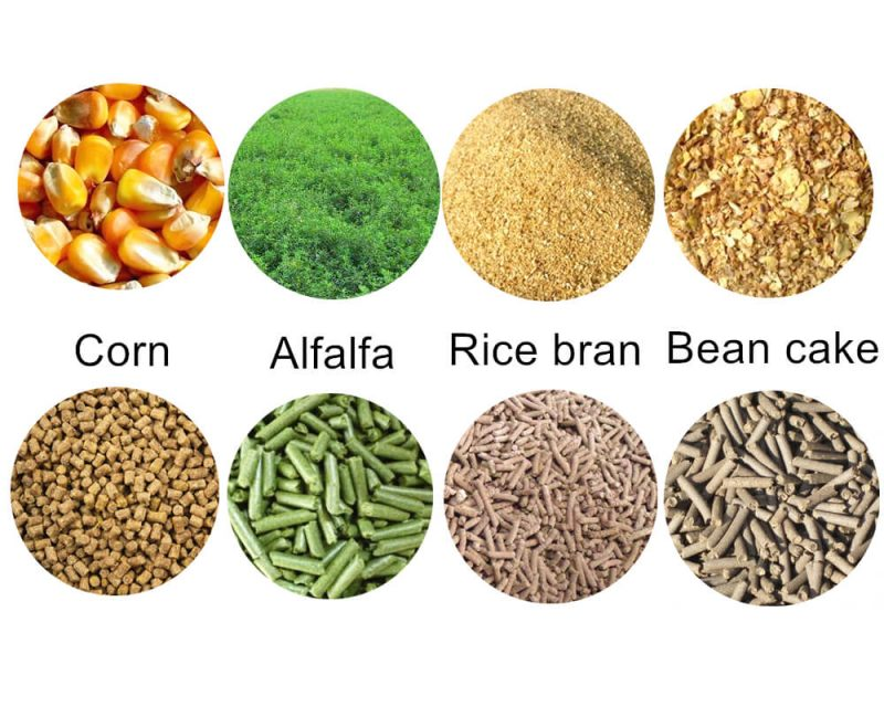 Feed-pellet-raw-materials