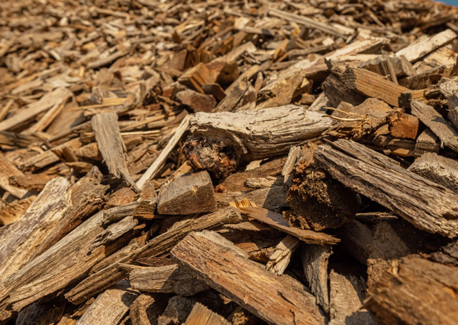 Forestry Residues