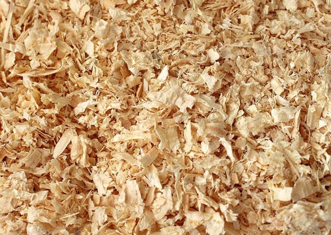 Wood Shavings
