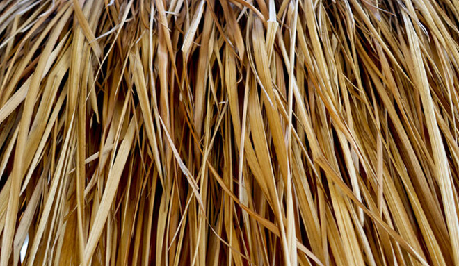 Grass and Other Plant Fibers